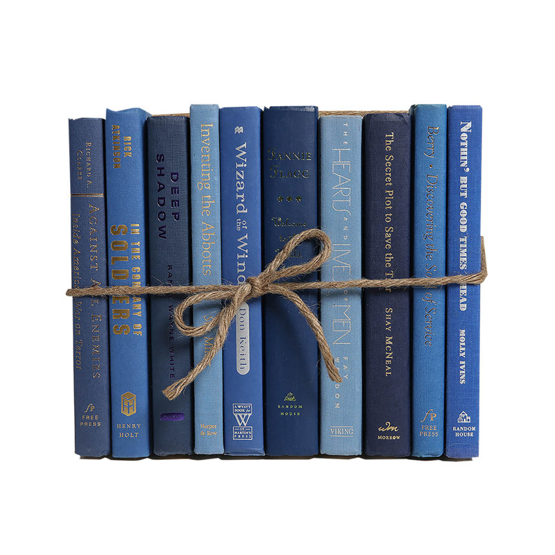 Booth Williams Modern Denim Colorpak Reviews Perigold One linear foot of authentic modern hardback books in crisp. perigold
