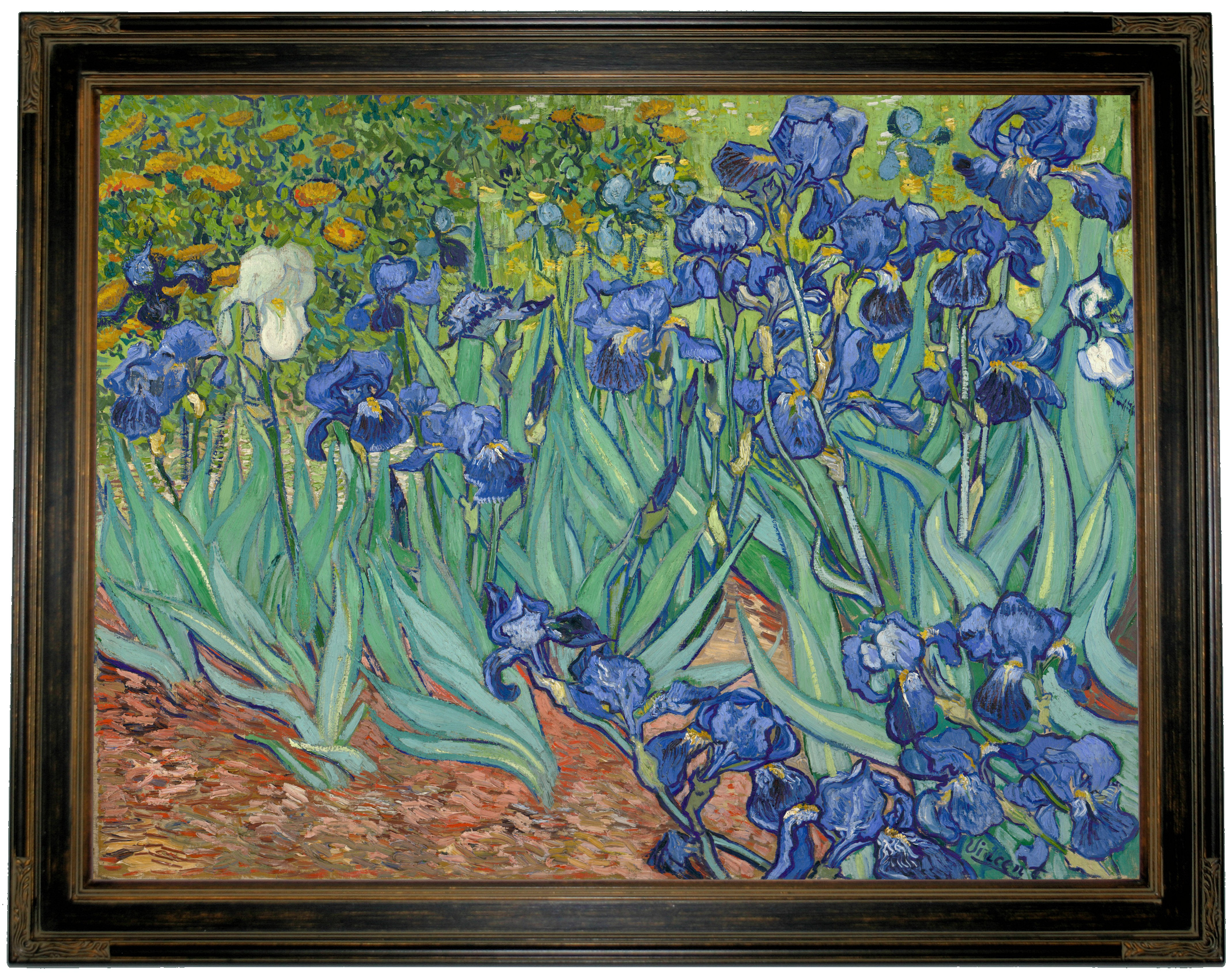 iris van gogh painting
