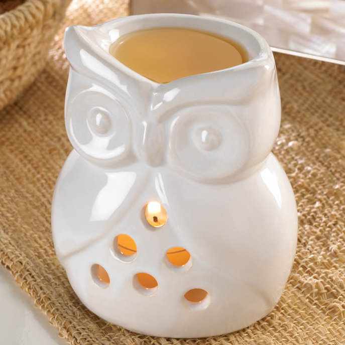 Zingz & Thingz Charming Ceramic Votive Holder & Reviews Wayfair