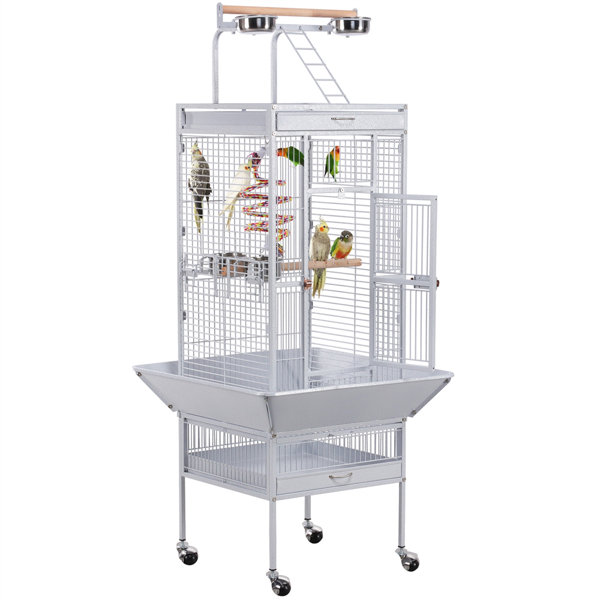 Large Parrot Cage Wayfair
