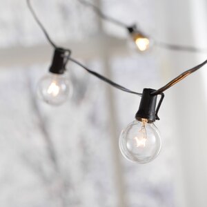 Brecksville 25 Light Globe String Lights