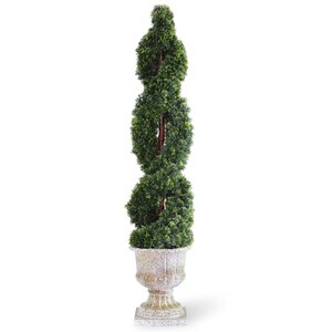 Double Cedar Spiral Topiary in Urn