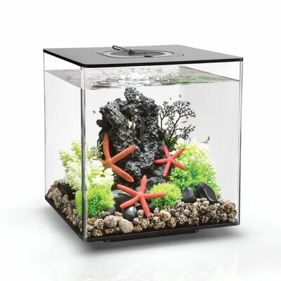 Gallon MCR LED Aquarium Tank biOrb Size: 13.6