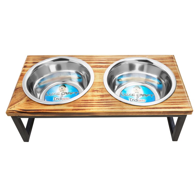 are elevated dog bowls bad