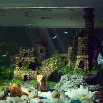large aquarium decorations