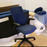 linus mesh task chair