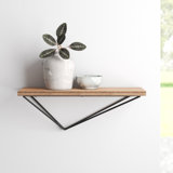 Modern Short Under 20 In Wall Shelves Allmodern