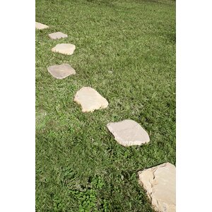 Rustic Canyon Sandstone Step Stone