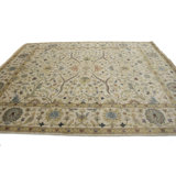 9x9 Area Rugs Wayfair