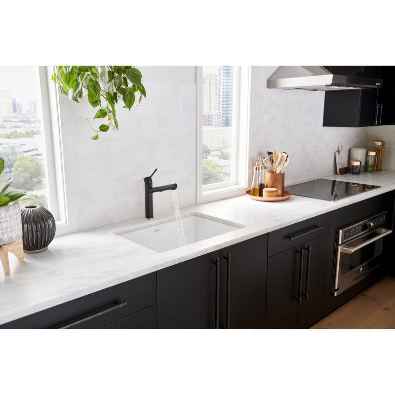 Blanco Precis 27 L X 18 W Undermount Kitchen Sink Reviews Wayfair Whether you're preparing a meal, cleaning up after a dinner party, or just puttering in the kitchen, blanca's design philosophy offers several types of kitchen sinks for you. precis 27 l x 18 w undermount kitchen sink