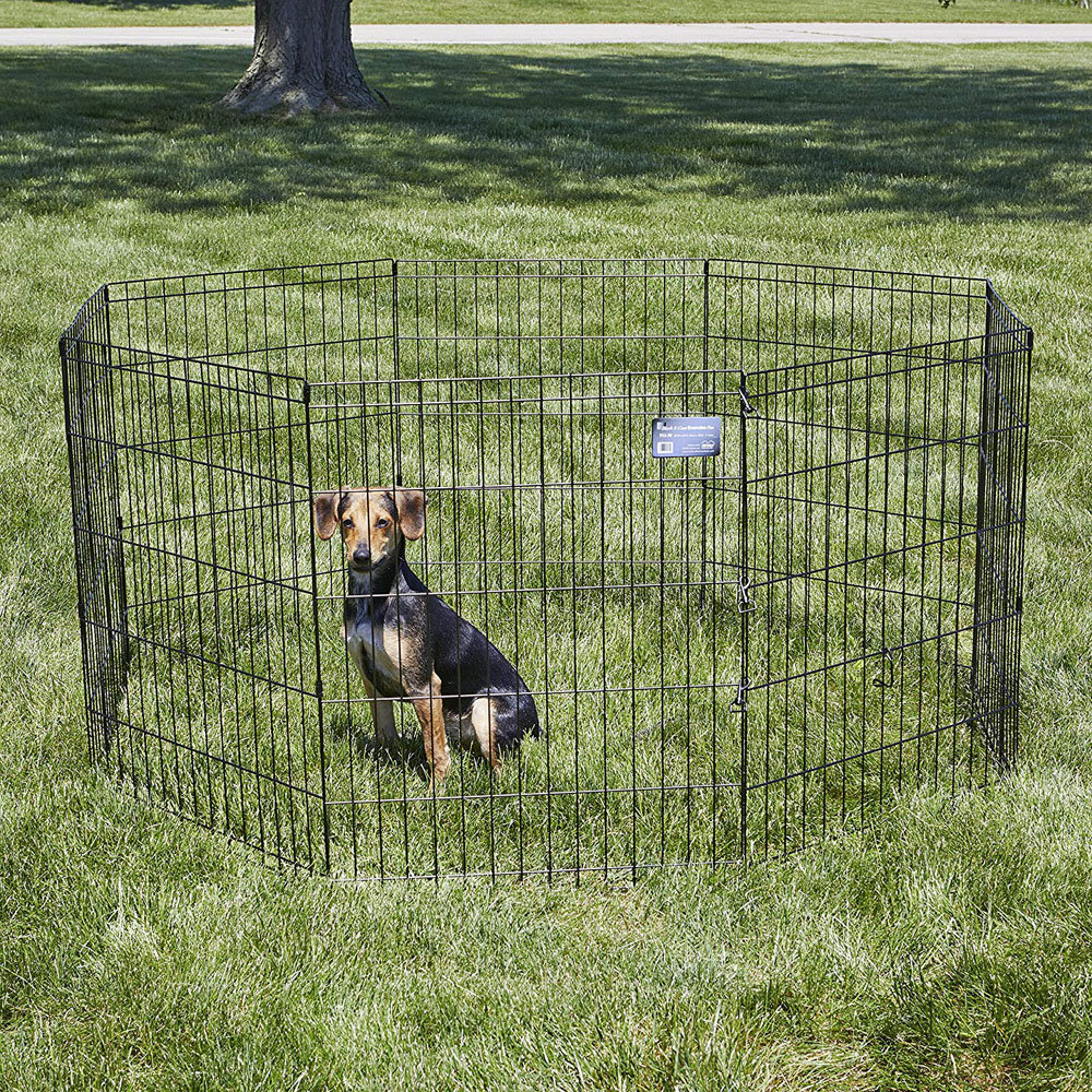 dog pen area