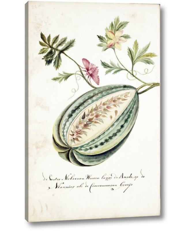 Watermelon, Leaves, Butterfly by Cornelis Markee - Graphic Art on Canvas