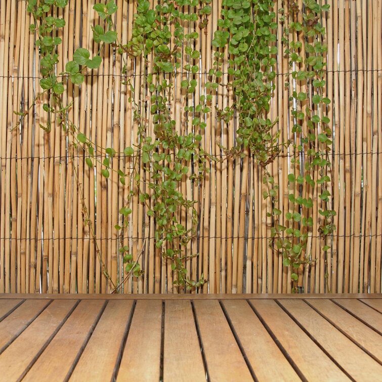 L Coffee Peeled Bamboo Reed Fencing Backyard Garden Fence 2 Pack 6 ft H x 16 ft 