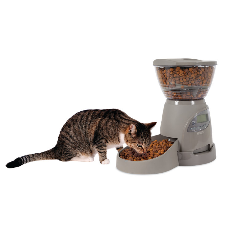 petmate cat feeder