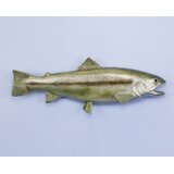 Trout Decor Wayfair