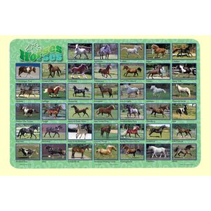 Horses Placemat (Set of 4)