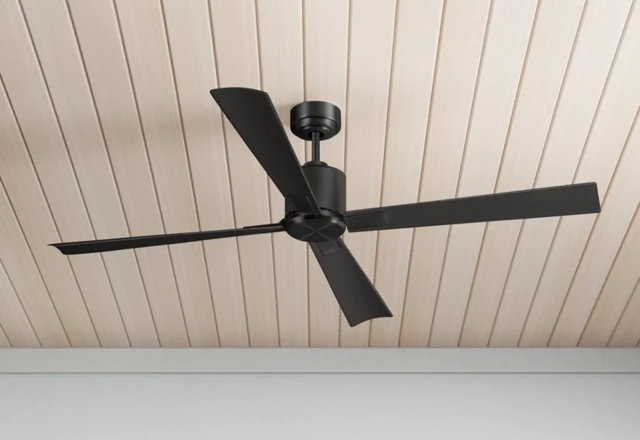 Ceiling Fans Worth a Spin