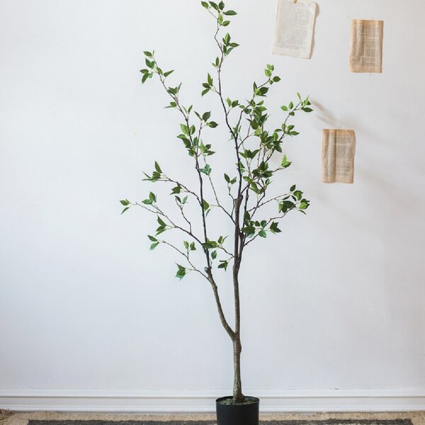 Shop Artificial Foliage Tree in Pot from Wayfair on Openhaus