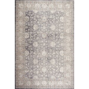 Sofia Light Gray/Beige Area Rug