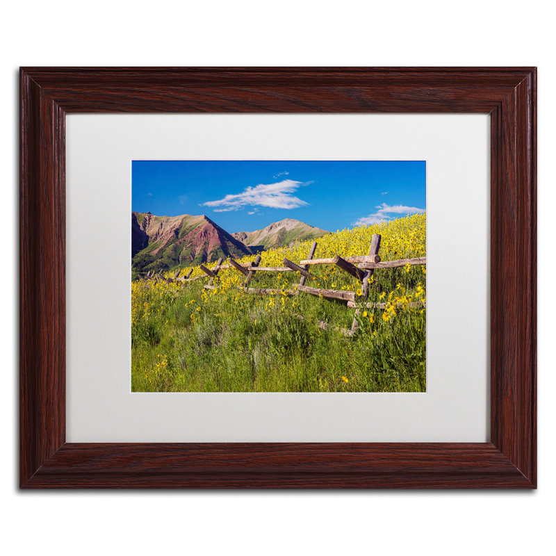 Trademark Art Wood Fence Framed Photographic Print On Canvas Wayfair