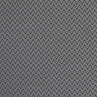GLACIERANTIQUE ClarkeClarke LLC Color Charcoal