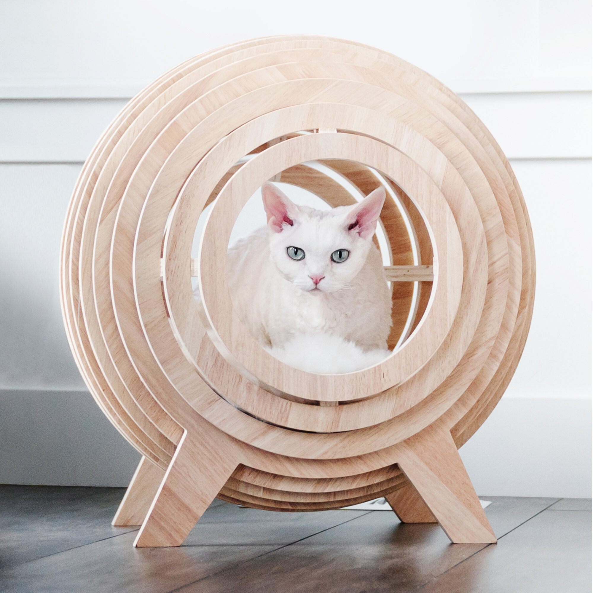 Mau Lifestyle Round Cat Bed Wayfair