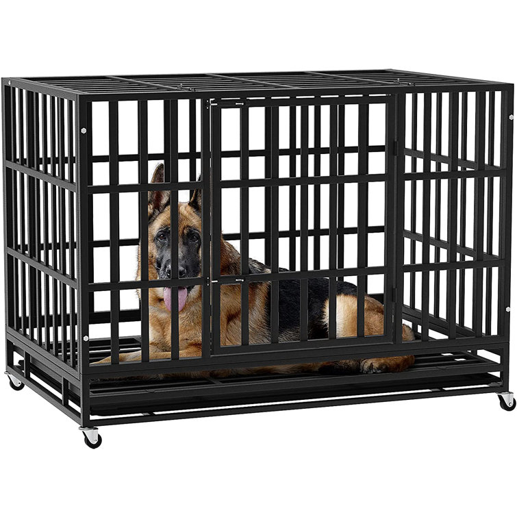 most secure dog crate