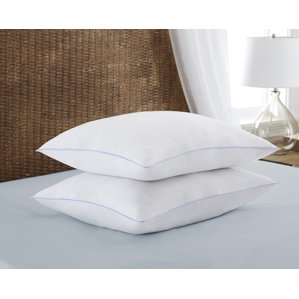 Super Plush Down Alternative Pillow by Alwyn Home