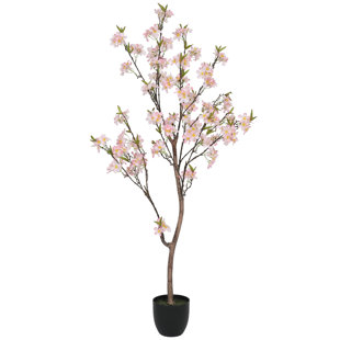 Apple Blossom Tree Wayfair