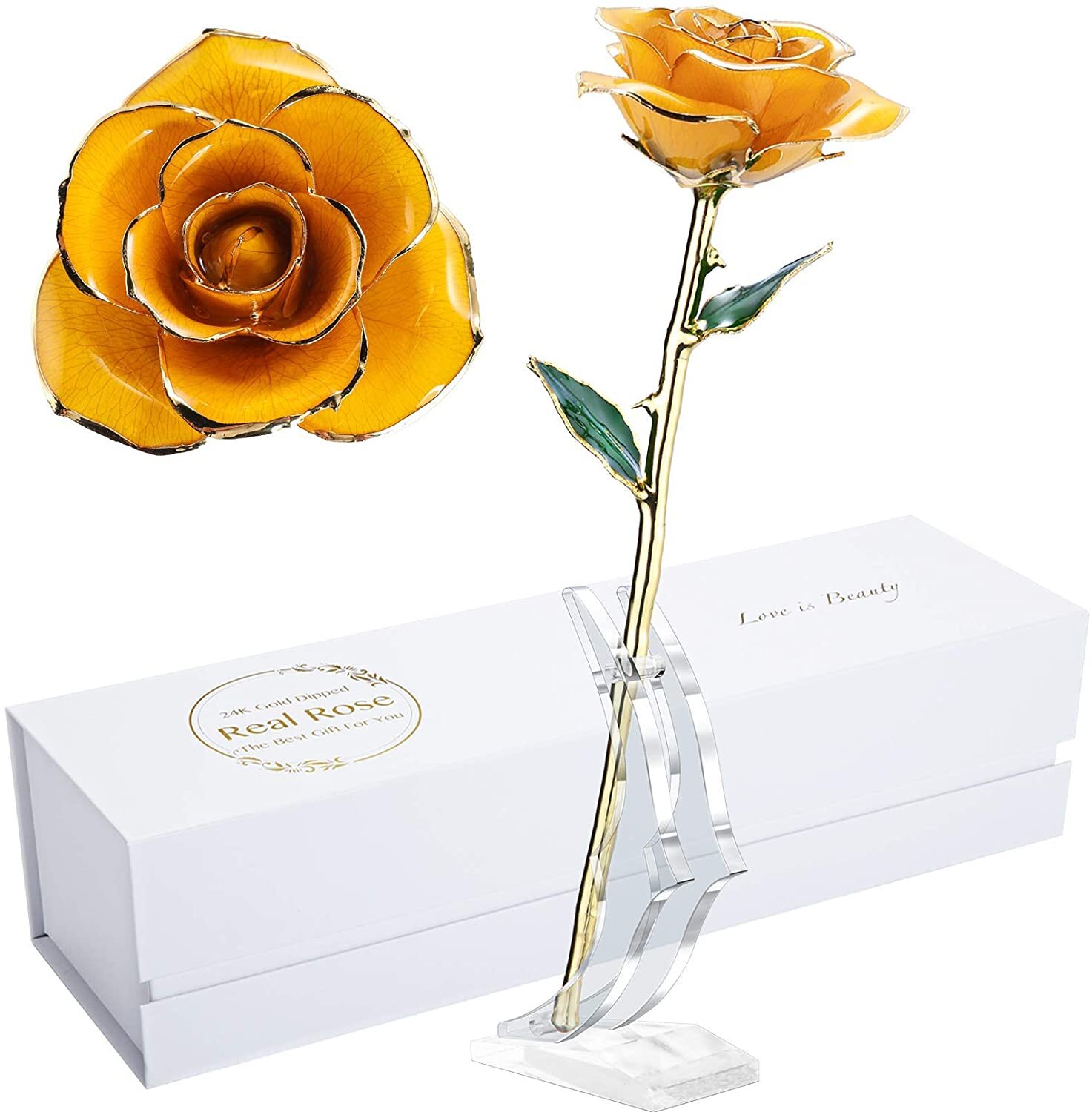red Rose with Stand Valentines Day Gift Rose,24k Gold Real Rose Gift for her and Great Valentines Gift for her Rose 