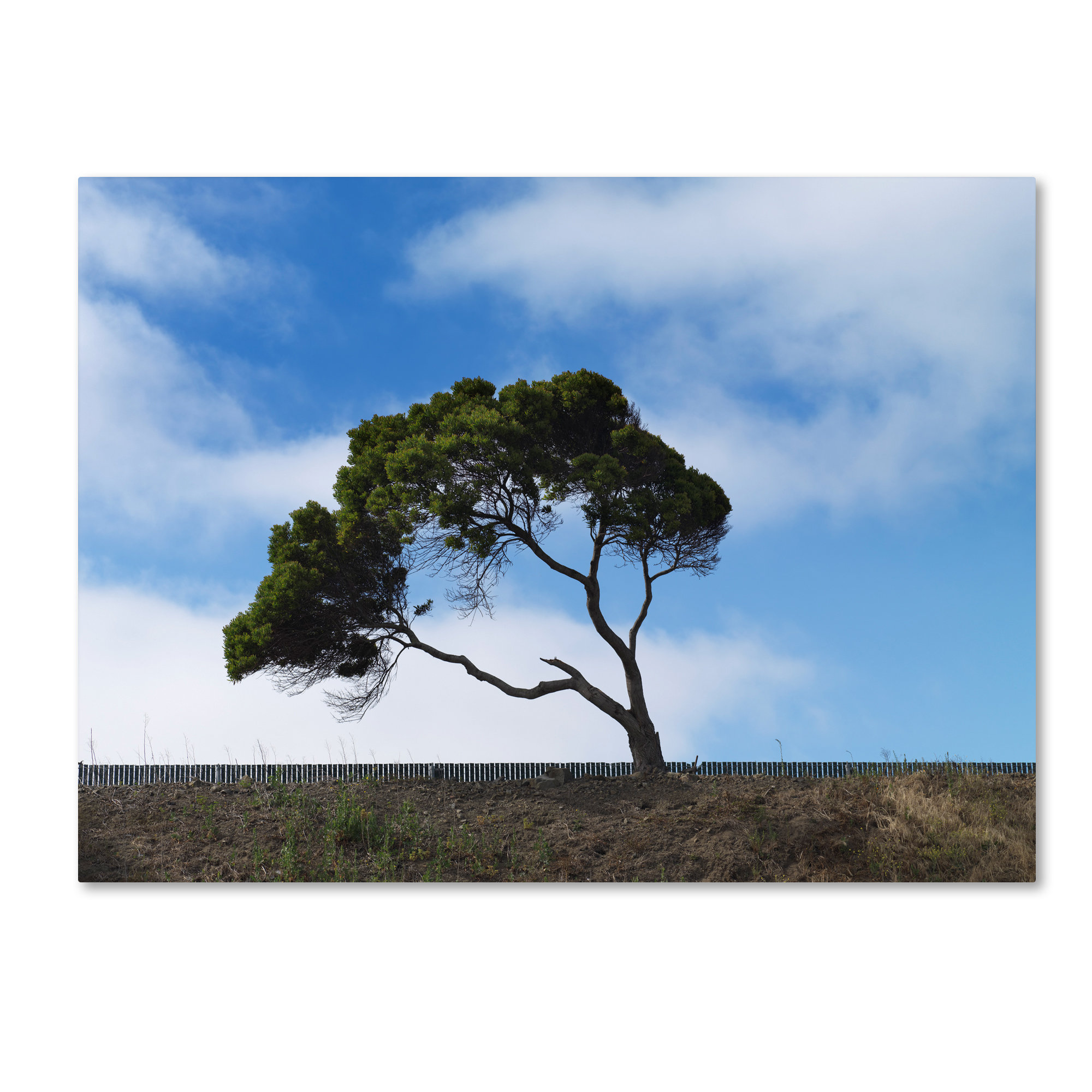 Trademark Art Guilty Remnant Photographic Print On Wrapped Canvas Wayfair
