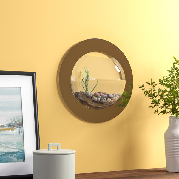 2 gallon wall mount fish bowl