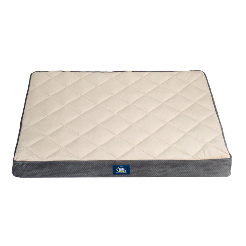 Serta Ortho Pillowtop Pet Bed Reviews Wayfair