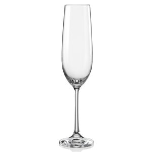 Wayfair Basics 6.5 oz. Champagne Glass (Set of 12)