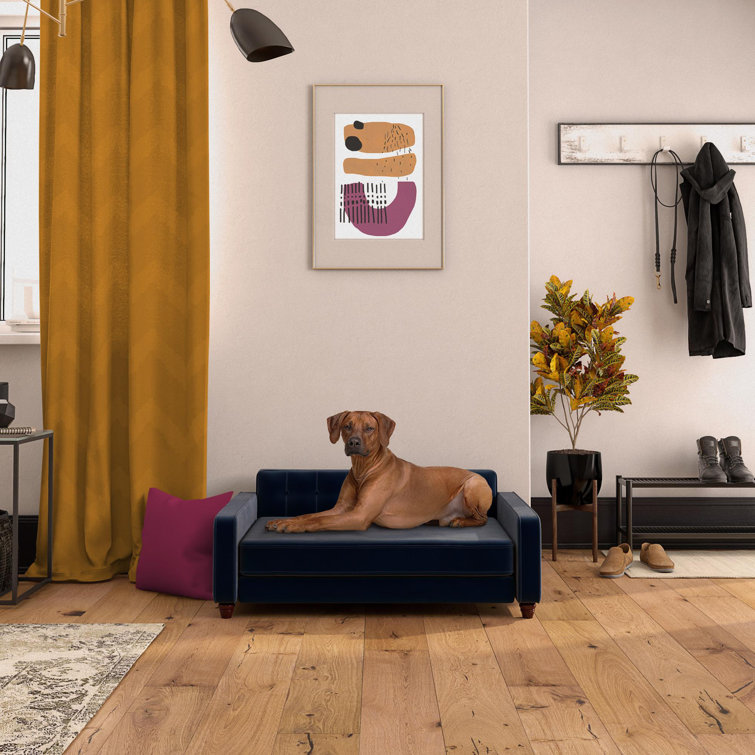 wayfair jackson dog sofa