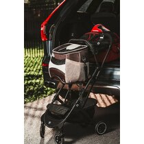 runabout twin stroller