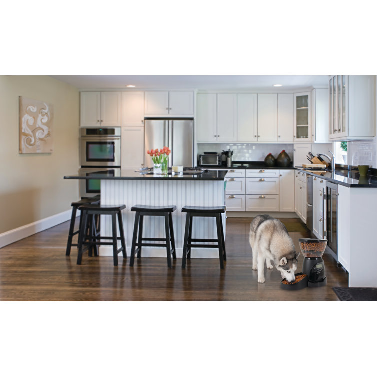 lebistro programmable feeder