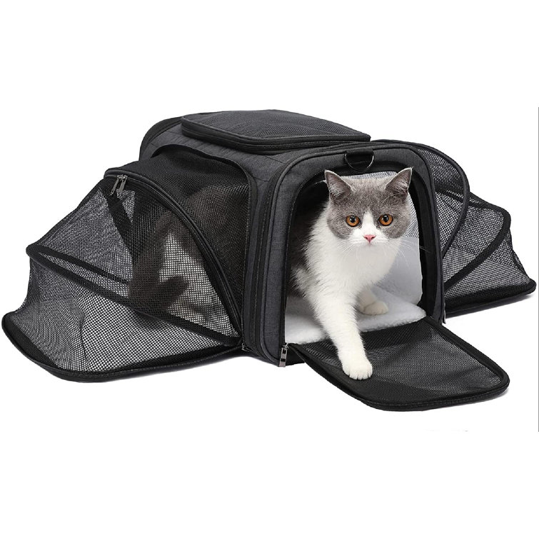 plush cat backpack