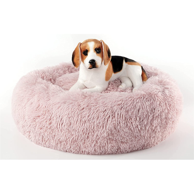 comfy calming pet bed