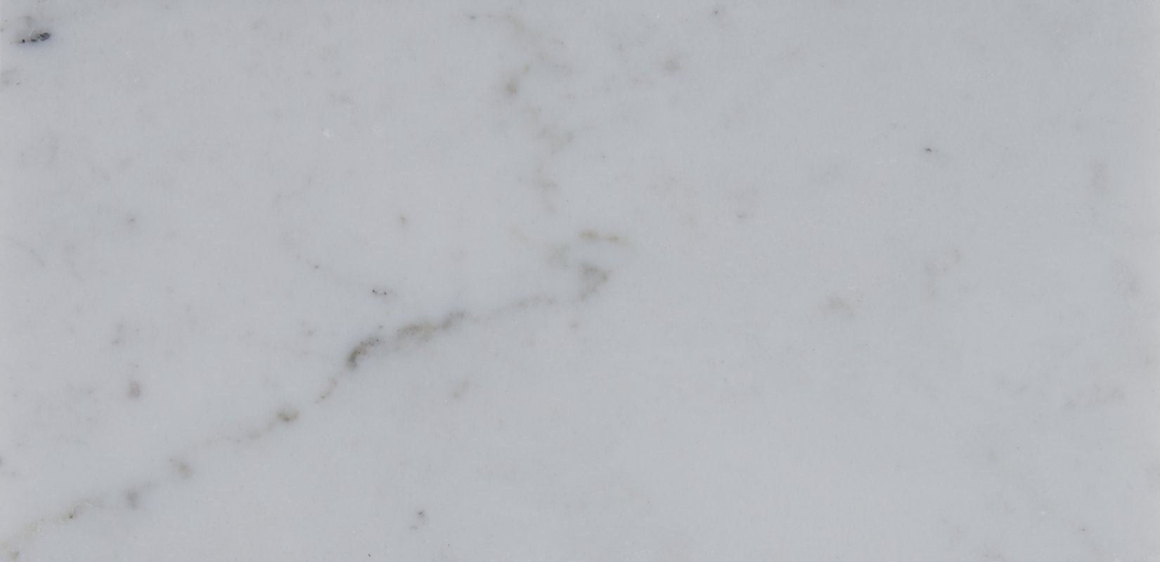 Msi 4 X 12 Polished Marble Tile In Carrara White Reviews Wayfair 4 X 12 Polished Marble Tile In Carrara White