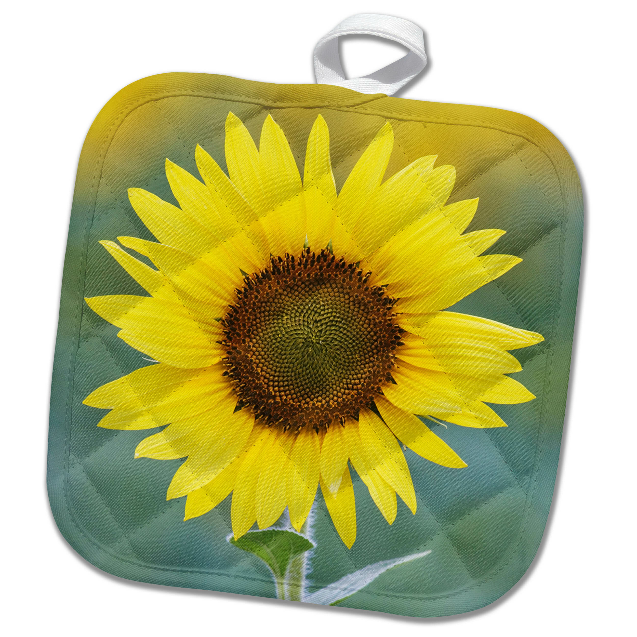 Download 3drose Usa California Napa Valley Close Up Of Sunflower Potholder Wayfair