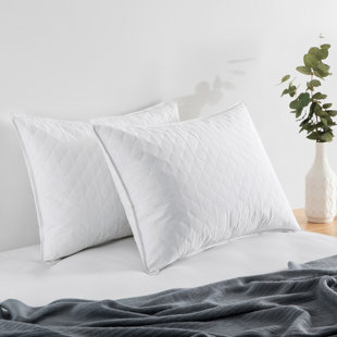 chaps beyond down pillow