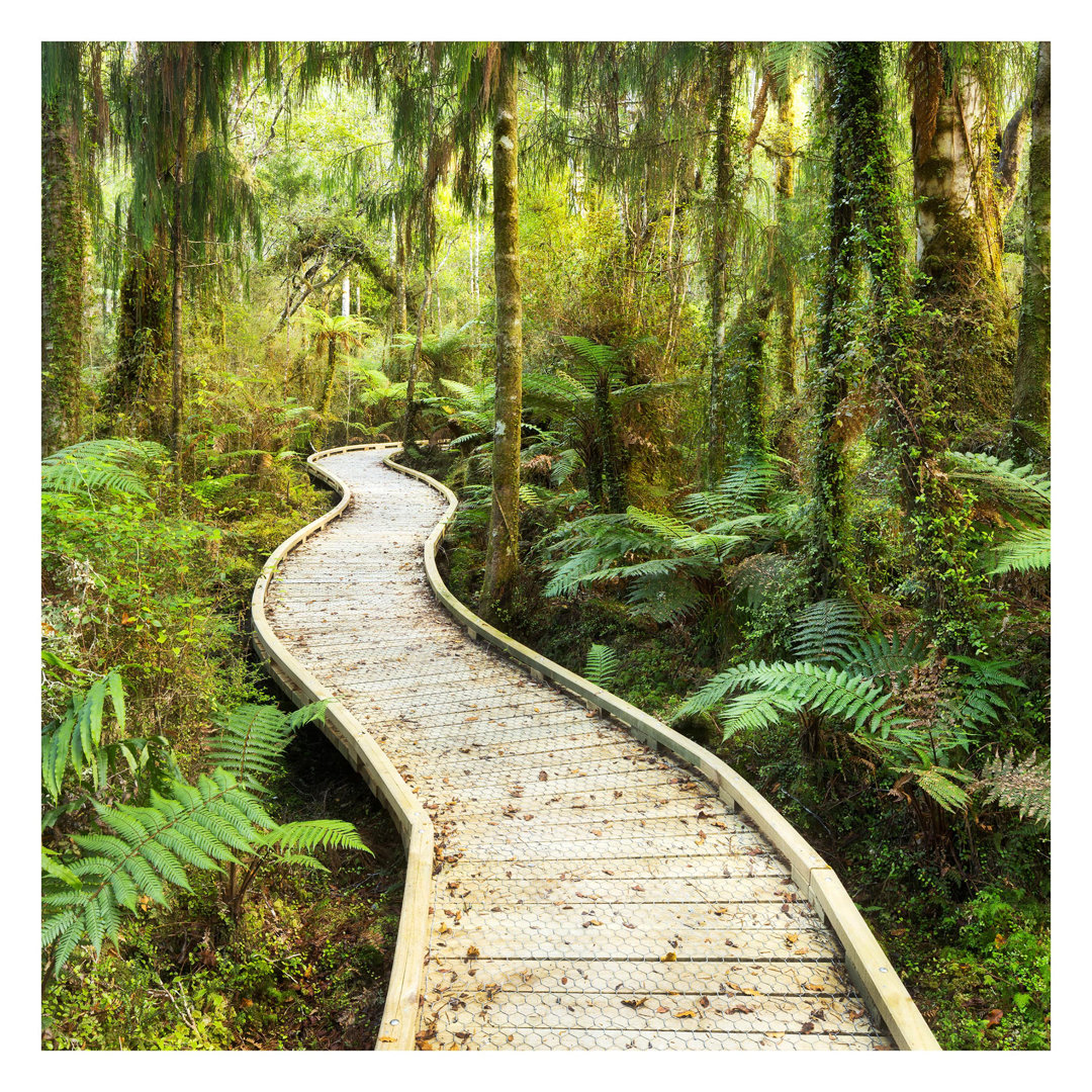 Path Through the Jungle 3.36m x 3.36m Textured Matte Peel & Stick Wall Mural