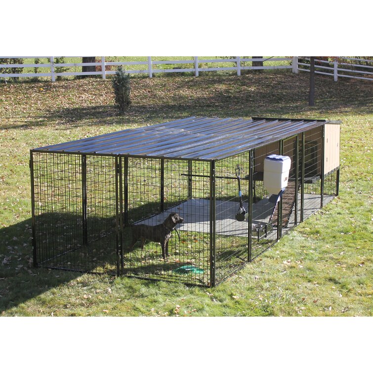 metal yard kennel