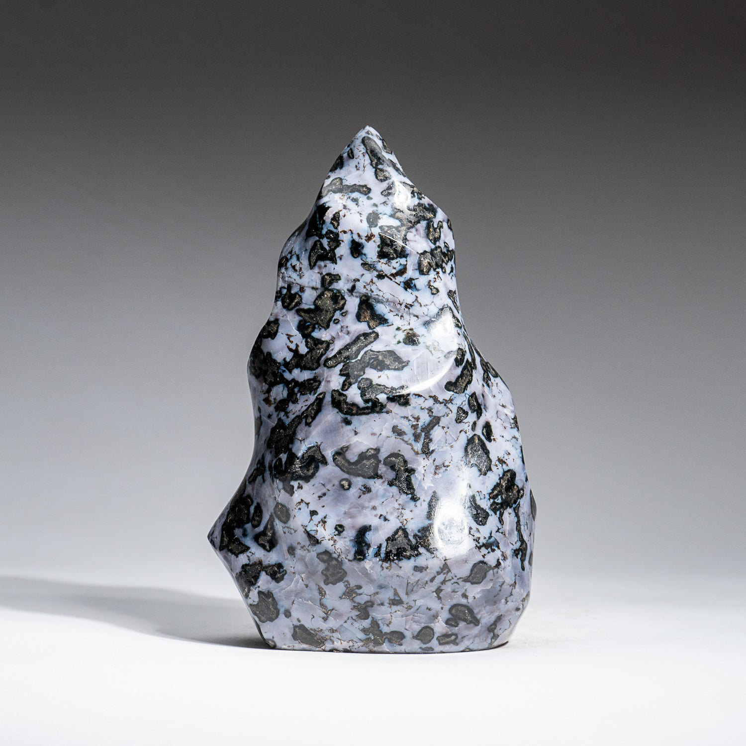 Astro Gallery of Gems Genuine Polished Indigo Gabbro Flame Freeform (2.