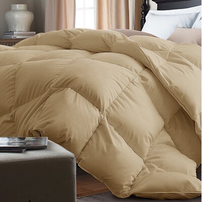 Alwyn Home Down Alternative Comforter Size Twin Color Khaki