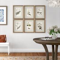 Martha Stewart Herbal Botany 4 Piece Framed Graphic Art Set on Canvas