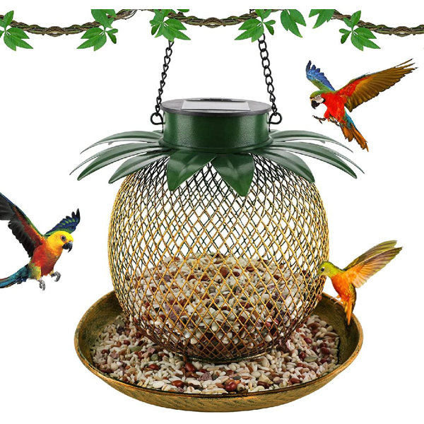Nature's Market Plastic Squirrel Baffle for Bird Stands Tables Feeding Stations 