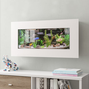 Picture of Wayfair | Wall Mounted Aquariums