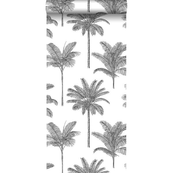 Palm Tree Removable Wallpaper Wayfair Palm Tree Removable Wallpaper Wayfair